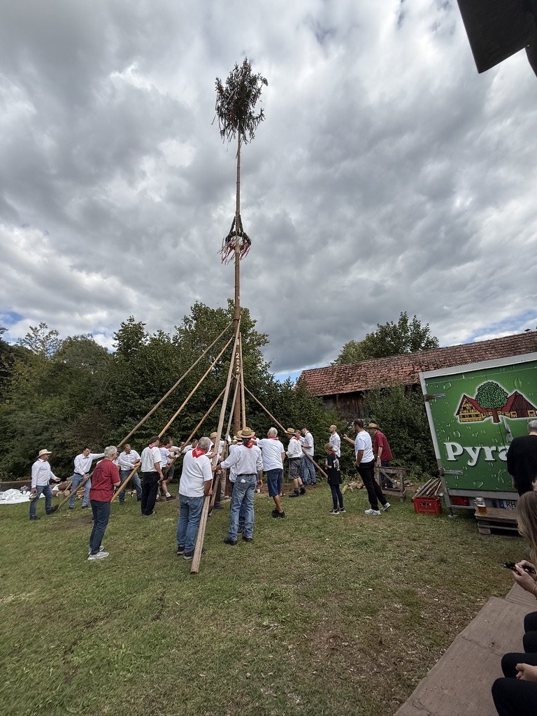 Kärwabaum-Aufstellen 2026 – der Baum wird aufgerichtet